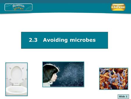 © Oxford University Press 2009 2.3 Avoiding microbes Slide 1.