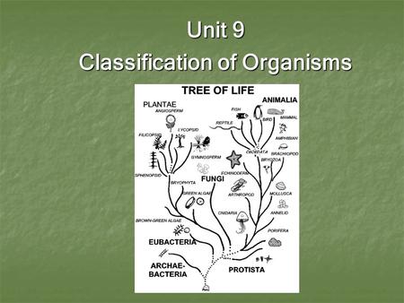 Unit 9 Classification of Organisms. I. Isn’t everything living thing either a plant or an animal? A. Aristotle is credited with the first true classification.