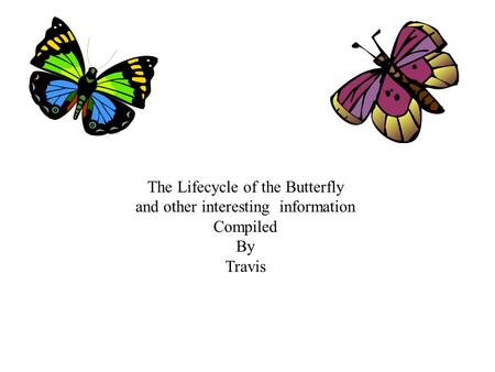 The Lifecycle of the Butterfly and other interesting information Compiled By Travis.