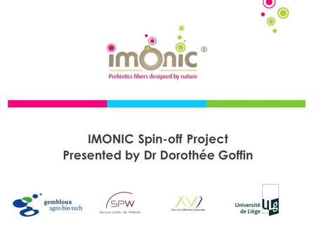 IMONIC Spin-off Project Presented by Dr Dorothée Goffin.