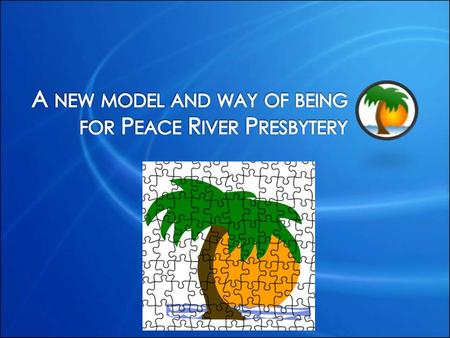 What is the role of Presbytery Leadership in: 1.guiding the Presbytery into a new vision, organizational structure that will change the culture of the.