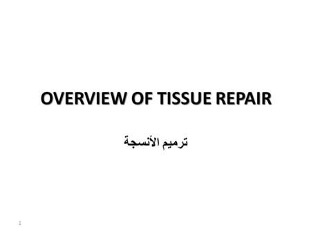 OVERVIEW OF TISSUE REPAIR