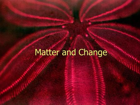 Matter and Change.