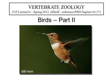 VERTEBRATE ZOOLOGY (VZ Lecture24 – Spring 2012 Althoff - reference PJH Chapters 16-17) Birds – Part II Bill Horn.