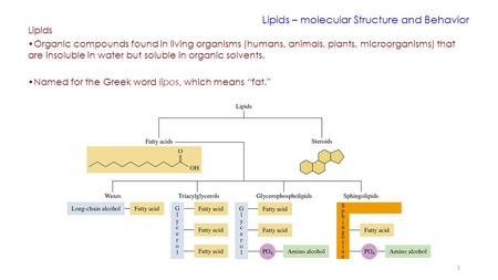 Lipids – molecular Structure and Behavior