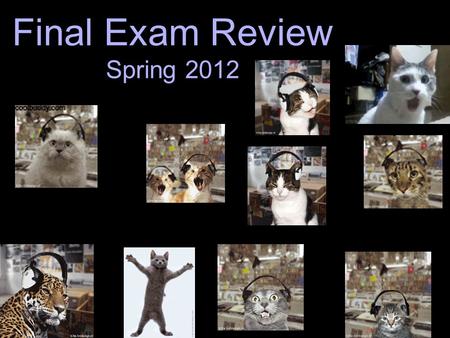 Final Exam Review Spring 2012. Physical Science Ch. 9: Energy Sources.