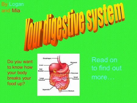 Do you want to know how your body breaks your food up? Read on to find out more … By Logan and Mia.