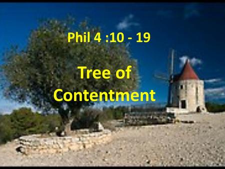 Phil 4 :10 - 19 Tree of Contentment.