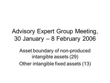 Advisory Expert Group Meeting, 30 January – 8 February 2006 Asset boundary of non-produced intangible assets (29) Other intangible fixed assets (13)