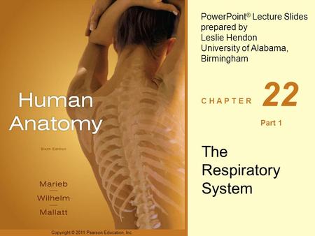 The Respiratory System