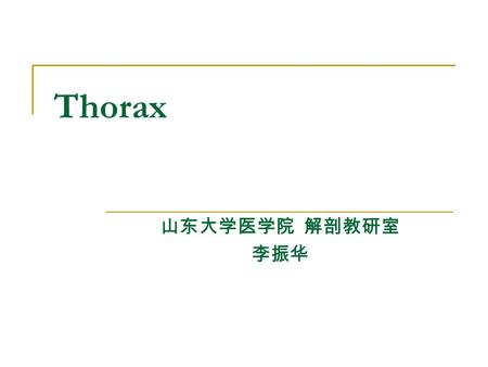 Thorax 山东大学医学院 解剖教研室 李振华.