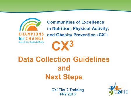 Communities of Excellence in Nutrition, Physical Activity, and Obesity Prevention (CX 3 ) Data Collection Guidelines and Next Steps CX 3 CX 3 Tier 2 Training.