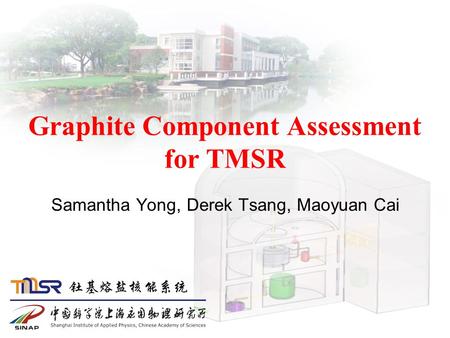 Graphite Component Assessment for TMSR Samantha Yong, Derek Tsang, Maoyuan Cai.