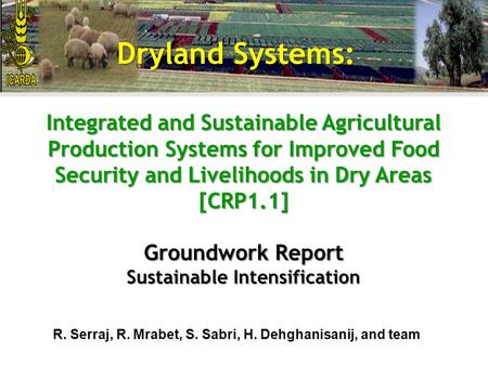 Integrated and Sustainable Agricultural Production Systems for Improved Food Security and Livelihoods in Dry Areas [CRP1.1] Groundwork Report Sustainable.