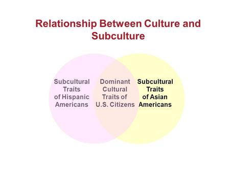 Relationship Between Culture and Subculture