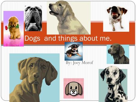 By: Joey Morof Dogs and things about me.. Dogs are awesome.