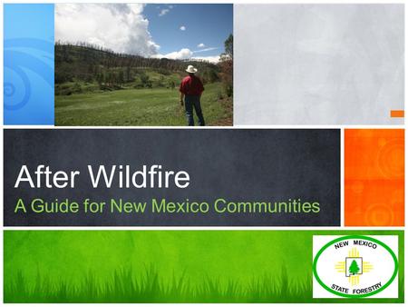 After Wildfire A Guide for New Mexico Communities.