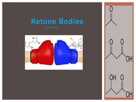 Ketone Bodies vijay patel