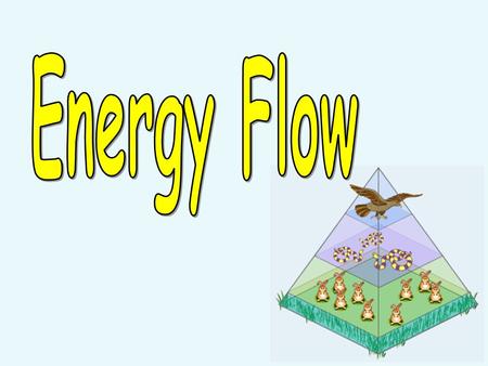 Solar-powered Almost all energy for living things comes from the sun. Less than 1% is used by living things.