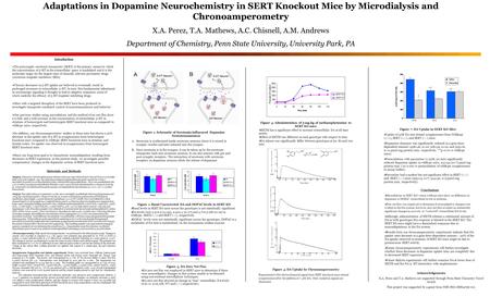 Adaptations in Dopamine Neurochemistry in SERT Knockout Mice by Microdialysis and Chronoamperometry X.A. Perez, T.A. Mathews, A.C. Chisnell, A.M. Andrews.