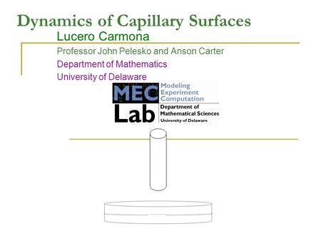 Dynamics of Capillary Surfaces Lucero Carmona Professor John Pelesko and Anson Carter Department of Mathematics University of Delaware.