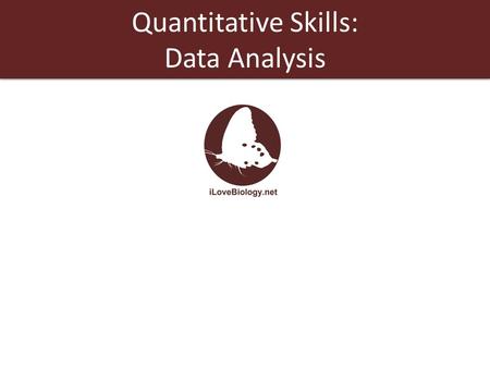 Quantitative Skills: Data Analysis