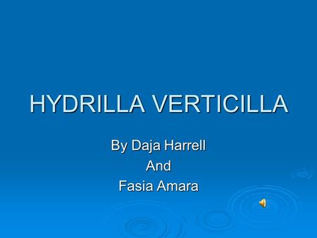 HYDRILLA VERTICILLA By Daja Harrell And Fasia Amara.