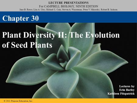 LECTURE PRESENTATIONS For CAMPBELL BIOLOGY, NINTH EDITION Jane B. Reece, Lisa A. Urry, Michael L. Cain, Steven A. Wasserman, Peter V. Minorsky, Robert.