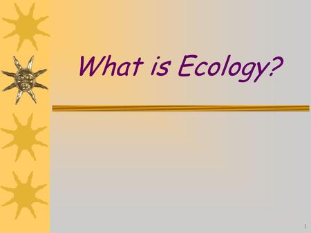 What is Ecology?.