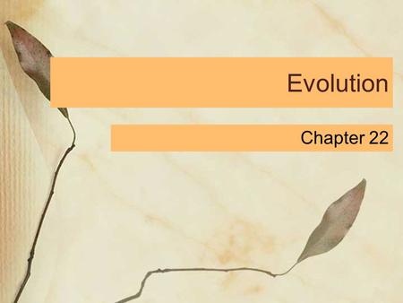 Evolution Chapter 22. The Opposition Plato and Aristotle Plato believed in two worlds: one real world that is ideal and perfect and an illusory world.