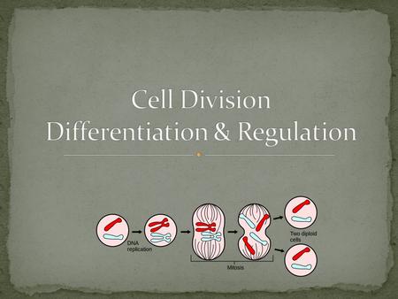 All living organisms reproduce All living organisms grow and develop All living organisms have cellular organization.