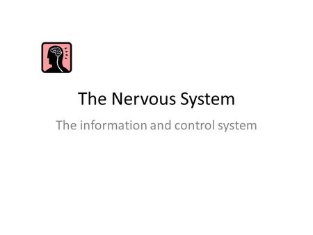 The Nervous System The information and control system.