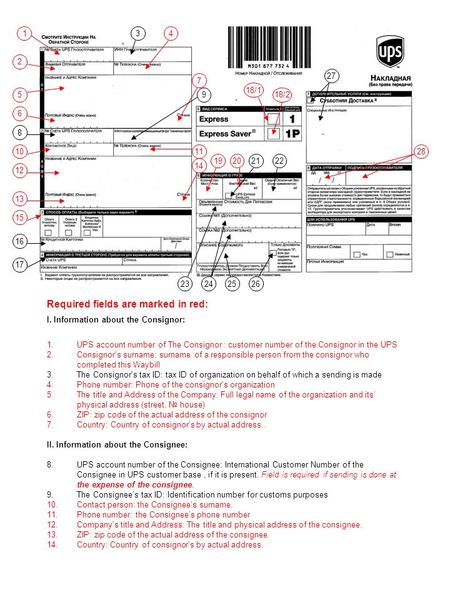 Required fields are marked in red: I. Information about the Consignor: 1.UPS account number of The Consignor : customer number of the Consignor in the.