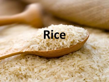 Rice.