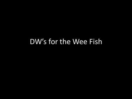 DW’s for the Wee Fish. Consider Anne Rice’s statement and discuss her claim in a paragraph or two. Connect your response to 1984.