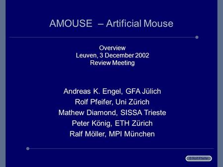 © Rolf Pfeifer AMOUSE – Artificial Mouse Overview Leuven, 3 December 2002 Review Meeting Andreas K. Engel, GFA Jülich Rolf Pfeifer, Uni Zürich Mathew Diamond,