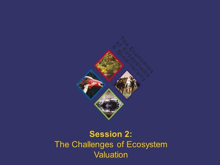 TEEB Training Session 2: The Challenges of Ecosystem Valuation.