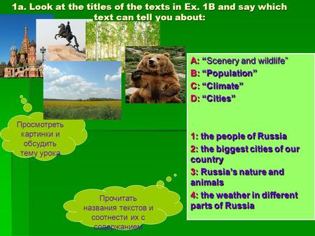 A: “Scenery and wildlife” B: “Population” C: “Climate” D: “Cities”