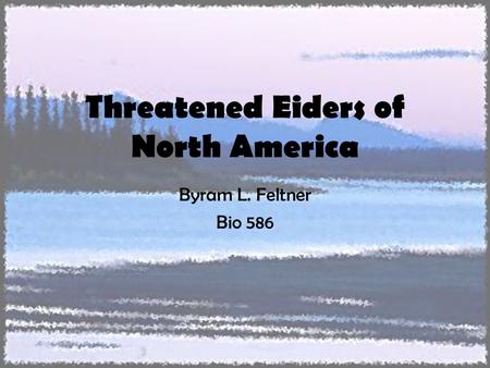 Threatened Eiders of North America Byram L. Feltner Bio 586.