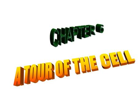 LEARNING ABOUT THE CELL YOU ARE RESPONSIBLE FOR READING AND LEARNING THE MATERIAL IN THIS CHAPTER ON YOUR OWN. YOU WILL BE TESTED ON THIS CHAPTER ALONG.