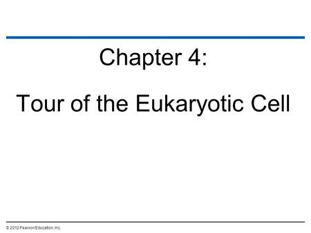 Tour of the Eukaryotic Cell