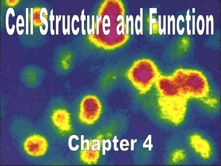 Cell Structure and Function