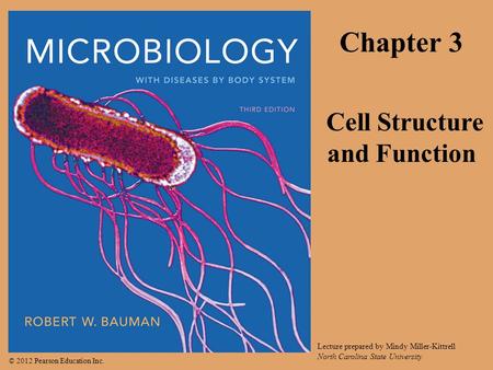 © 2012 Pearson Education Inc. Lecture prepared by Mindy Miller-Kittrell North Carolina State University Chapter 3 Cell Structure and Function.