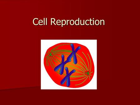 Cell Reproduction. Chromosome Structure Review Except for the gametes, humans have 46 chromosomes (23 pairs) in the nucleus of every cell. Except for.