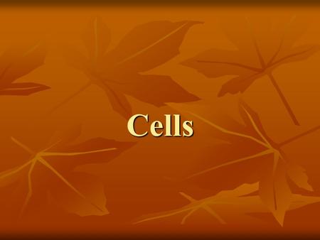 Cells.