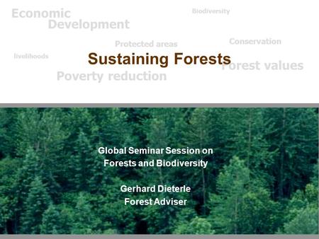 Global Seminar Session on Forests and Biodiversity