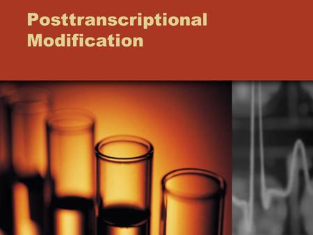 Posttranscriptional Modification