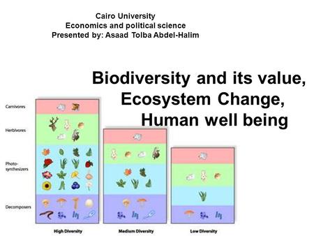 Biodiversity and its value, Ecosystem Change, Human well being