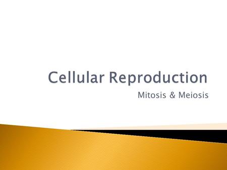 Cellular Reproduction