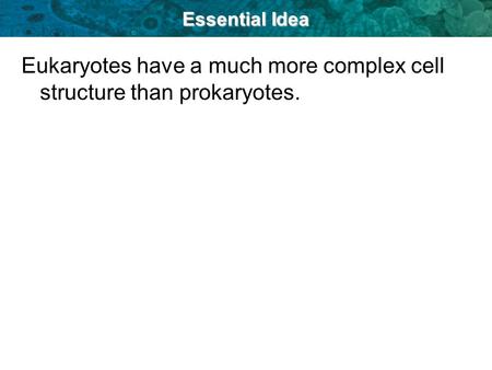 Eukaryotes have a much more complex cell structure than prokaryotes.